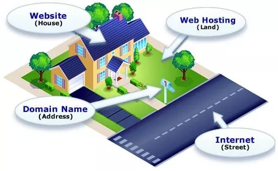 These can be the parts of the internet that works as if you live in a house. The road going to your home is your internet, the domain name is your letter box or address, the land is represents web hosting, and you put your website on the land which is your house.